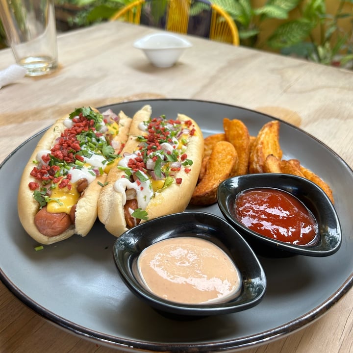 photo of Alquimia Vegana Chili Dogs 🌭 shared by @veganeandoporelmundo on  11 Dec 2022 - review