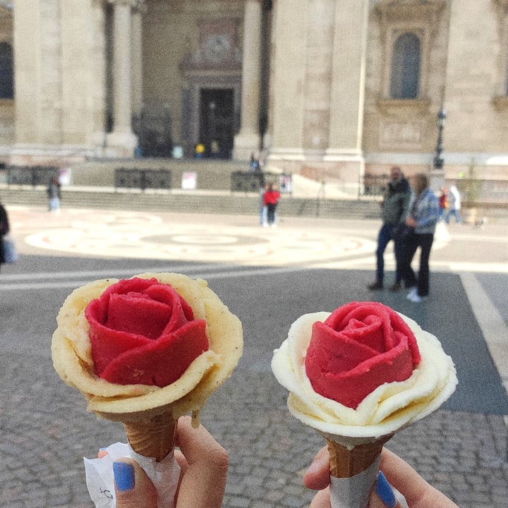 review photo of Gelarto Rosa Ice Cream Vegan shared by @angiere on 16 Jul 2022 - review