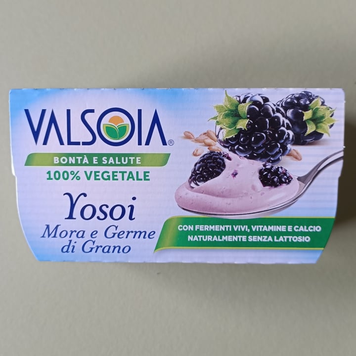 photo of Valsoia Yogurt Mora e Germe di Grano shared by @silvanamincuzzi on  28 Aug 2021 - review