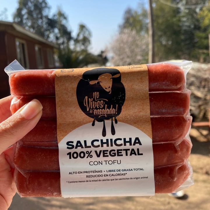 photo of No Vives de Ensalada! Salchicha 100% Vegetal con Tofu shared by @eela on  31 Jul 2021 - review