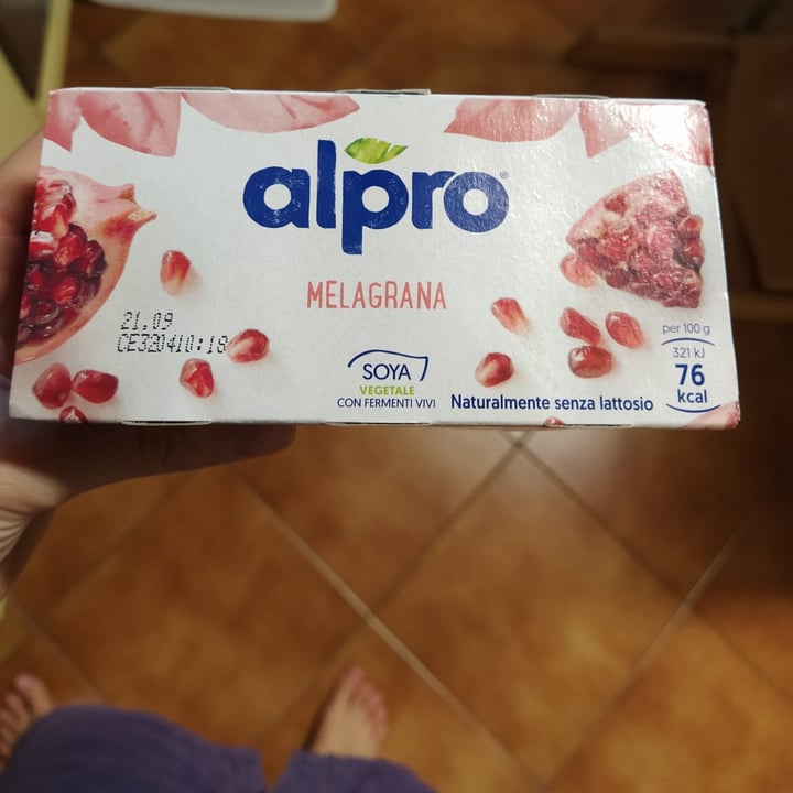 review photo of Alpro Yogurt Melagrana shared by @anitapanda95 on 17 Sep 2020 - review