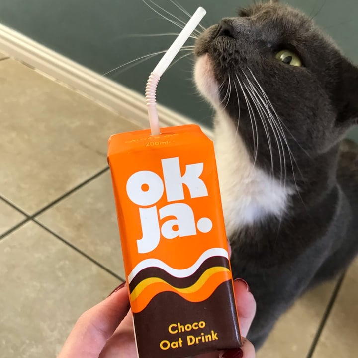 photo of okja Choco Oat Milk shared by @skybadger on  17 Mar 2022 - review