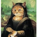 poldo1 @poldo1 profile image