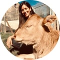 ymzavala @ymzavala profile image