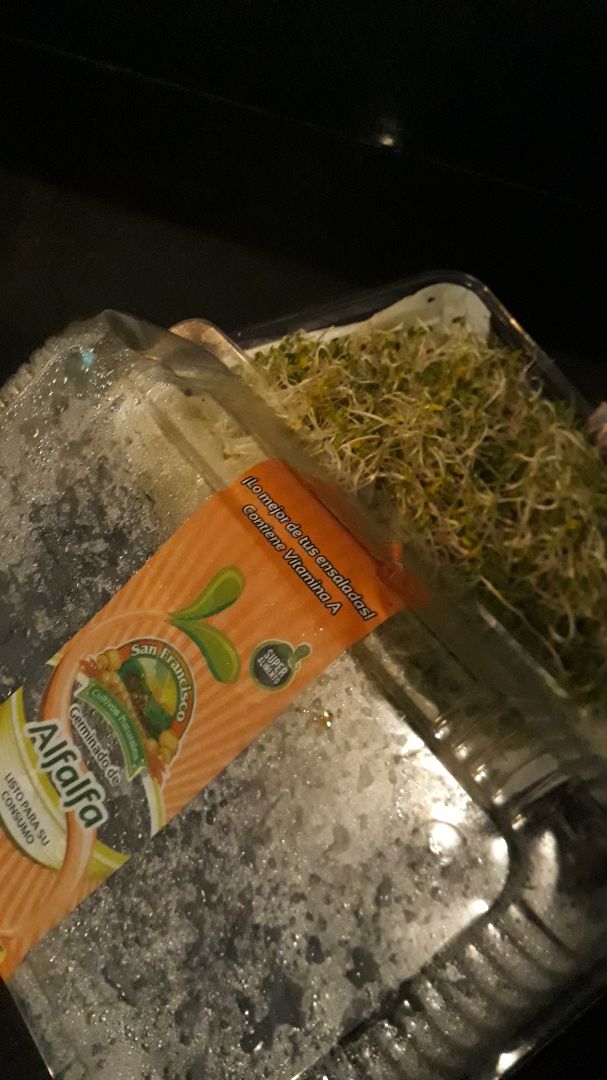 photo of San Francisco Alfalfa San Francisco Alfalfa shared by @malula on  21 Jan 2020 - review