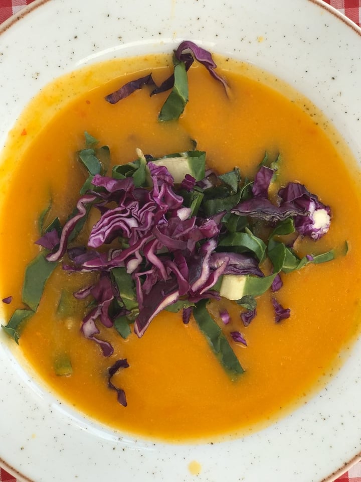 review photo of vegnik Almuerzo del dia shared by @paulortegon on 06 Feb 2020 - review