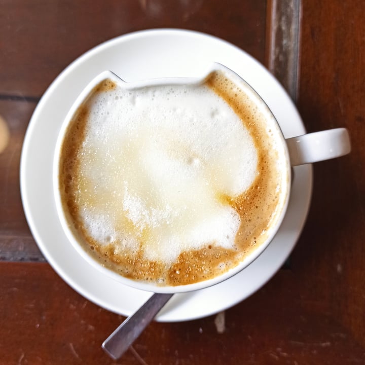 photo of Crazy Cat Café Cappuccino Con Latte Di Soia shared by @julieve on  24 Apr 2022 - review