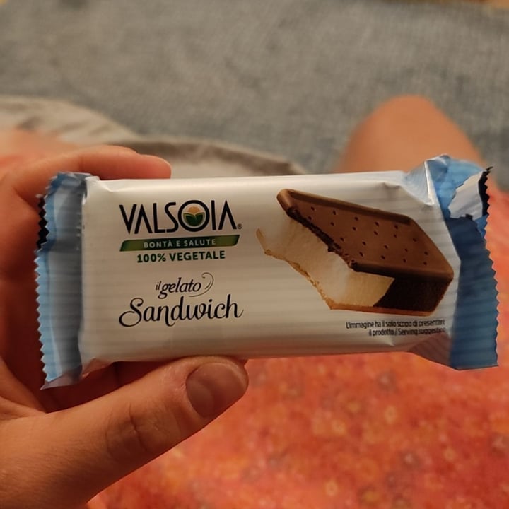 photo of Valsoia Il Gelato Sandwich shared by @miaolinz on  28 Aug 2022 - review