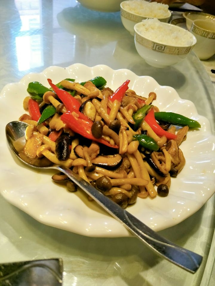 photo of 成都Chengdu Stir Fried Mushrooms shared by @lou on  05 Nov 2019 - review