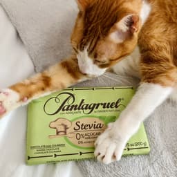 Pantagruel