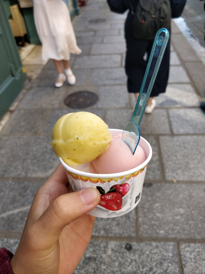 photo of Berthillon Roasted Pineapple and Basil & Pêche de Vigne Sorbet shared by @gyanhan on  21 May 2018 - review