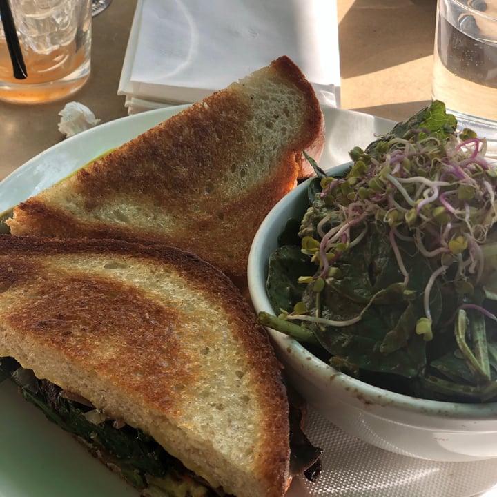 photo of Handlebar Fried Avocado Grilled Cheese shared by @veganintheham on  21 Mar 2021 - review