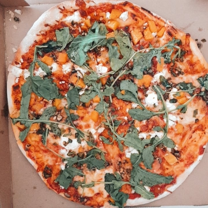 review photo of Col'Cacchio - Willowbridge Norm's Pralina shared by @anribrand on 10 Nov 2020 - review