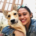 kajolsethia @kajolsethia profile image