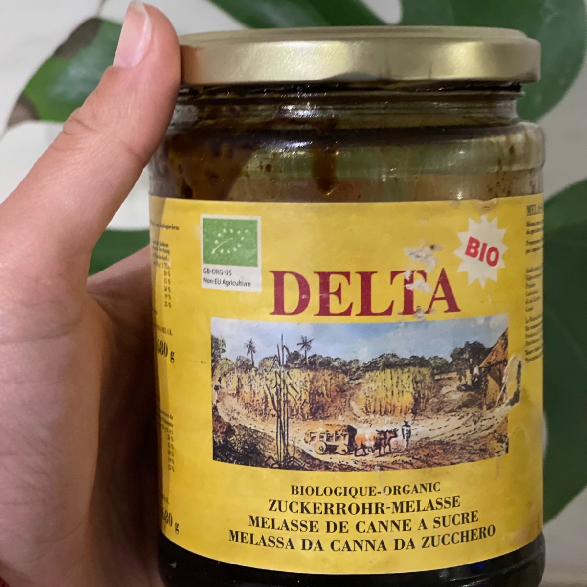 Melassa Di Canna Da Zucchero Multikraft - 5 Litri, Per Attivare Soluzioni EM E Fermentazioni