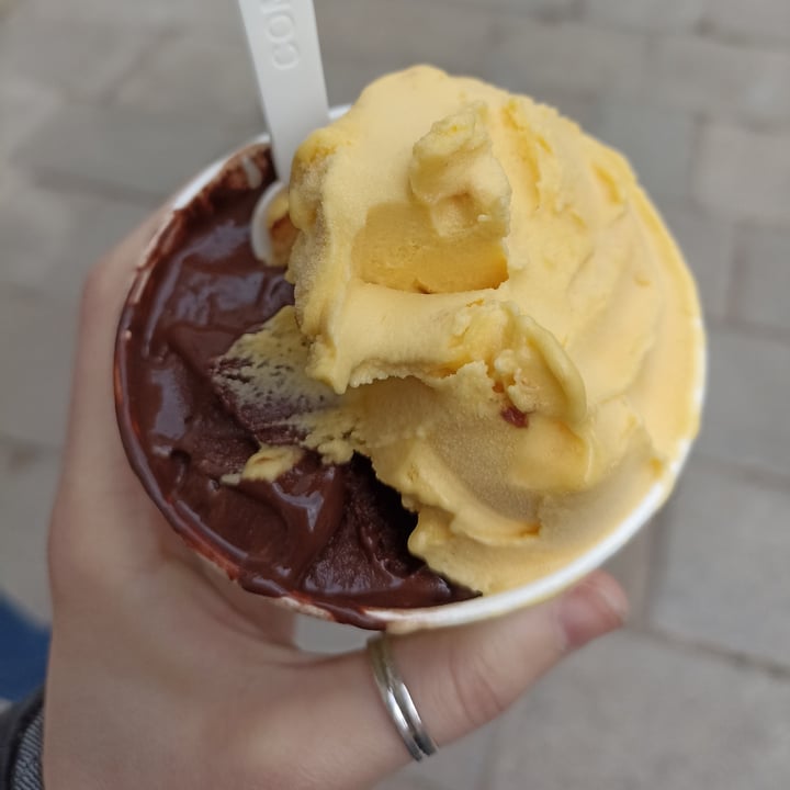 photo of Bacaro del Gelato Gelato mango e cioccolato di Modica shared by @ilpasieveg on  25 Apr 2022 - review