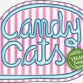 @candycatsveganfood profile image