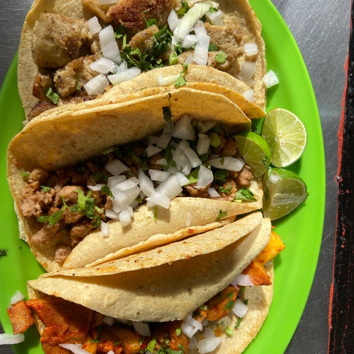 photo of Veganísimo Loncheria Vegana Tacos Orden De 3 shared by @ilse on  07 Sep 2022 - review