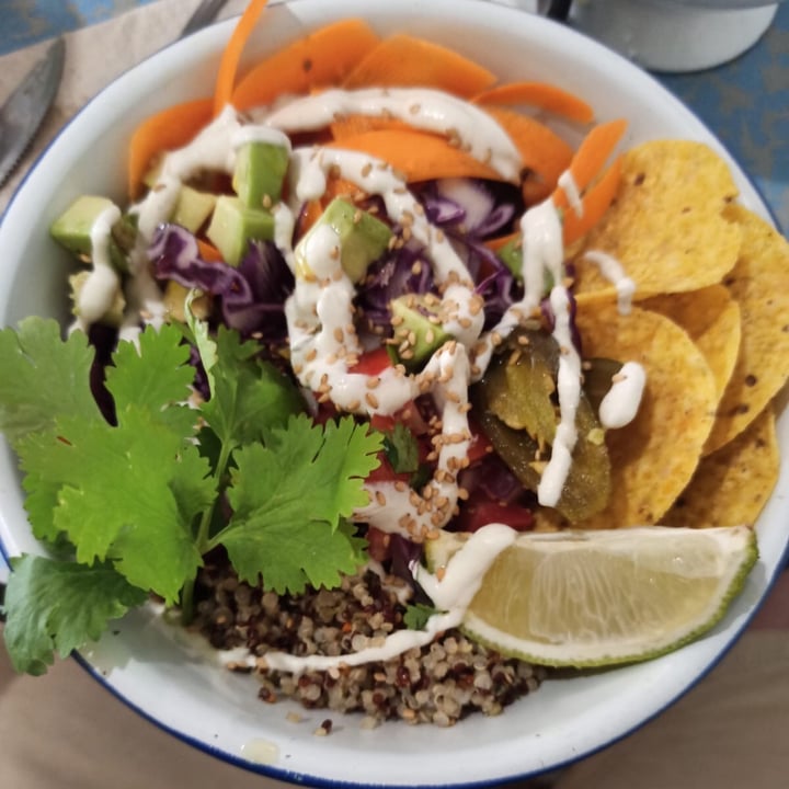 photo of Quinoa Bar Vegetarià Bowl De Quinoa Con Alubias shared by @wildflowerjewellery on  25 Jul 2021 - review