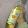 Bodega Norton