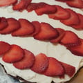 veggiesdg @veggiesdg profile image
