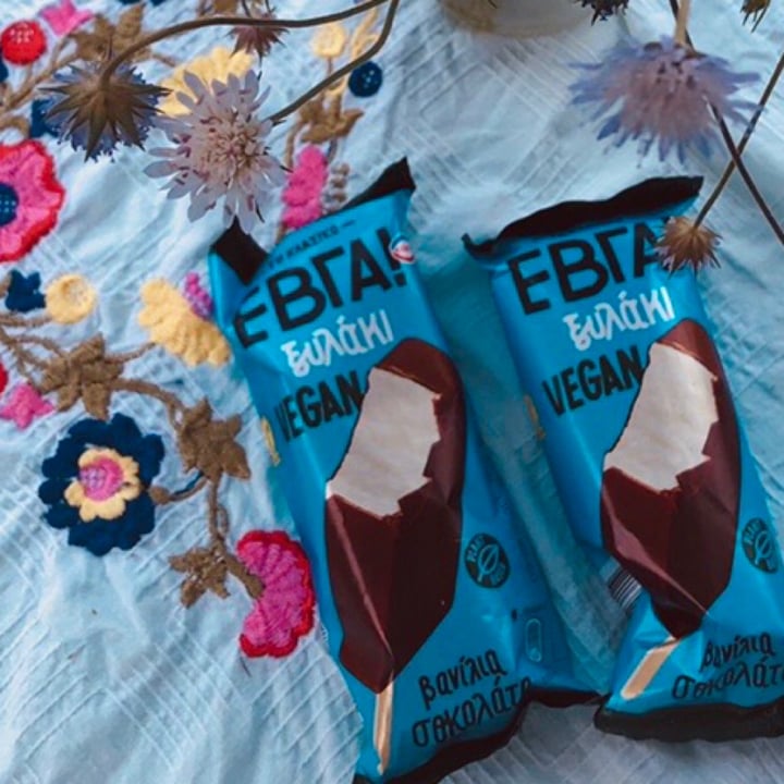 photo of EBGA chocolate/ vanilla ice cream shared by @gitagm on  20 Aug 2021 - review