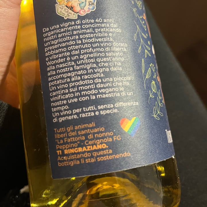 photo of Wonder wine Wonder wine trebbiano shared by @amyberti6 on  27 Nov 2022 - review