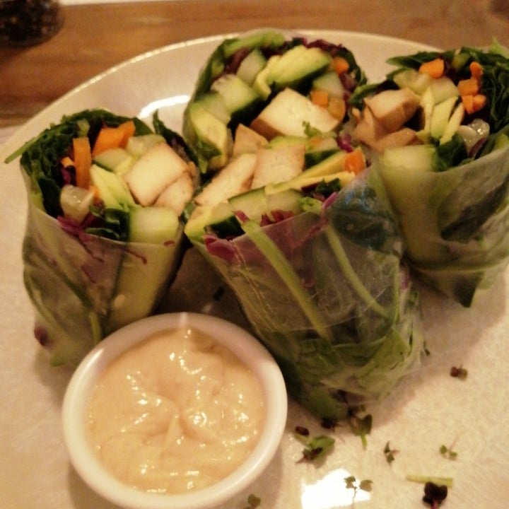 photo of The Conscious Kitchen Summer Rice Paper Rolls shared by @cait6 on  02 May 2022 - review