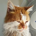 matthew23 @matthew23 profile image