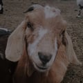 kesszm @kesszm profile image