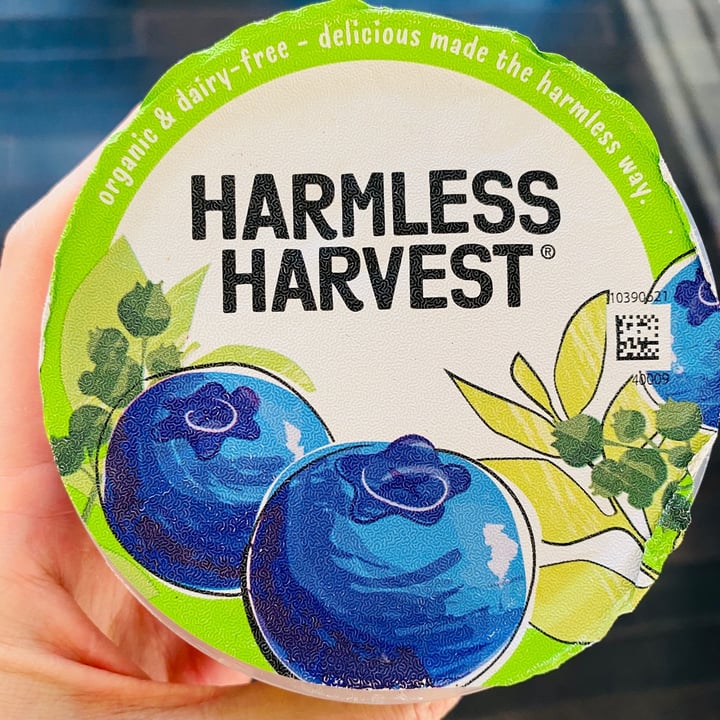photo of Harmless Harvest Blueberry coconut yoghurt shared by @beckyyy on  16 Aug 2020 - review