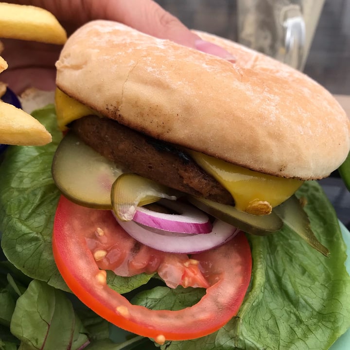 photo of The Retreat Animal Rescue Burger and chips, with side salad shared by @mrboyle on  31 Aug 2020 - review