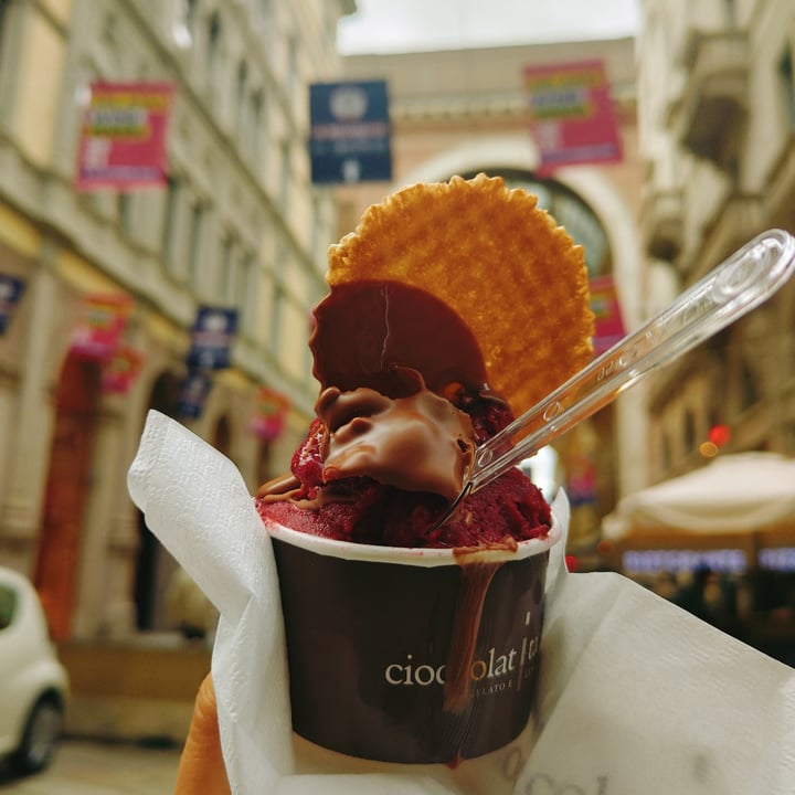 photo of Cioccolatitaliani Gelato al lampone shared by @grebrachiosaur on  25 Oct 2021 - review