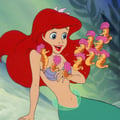 alicetta914 @alicetta914 profile image