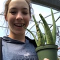 noelleee @noelleee profile image