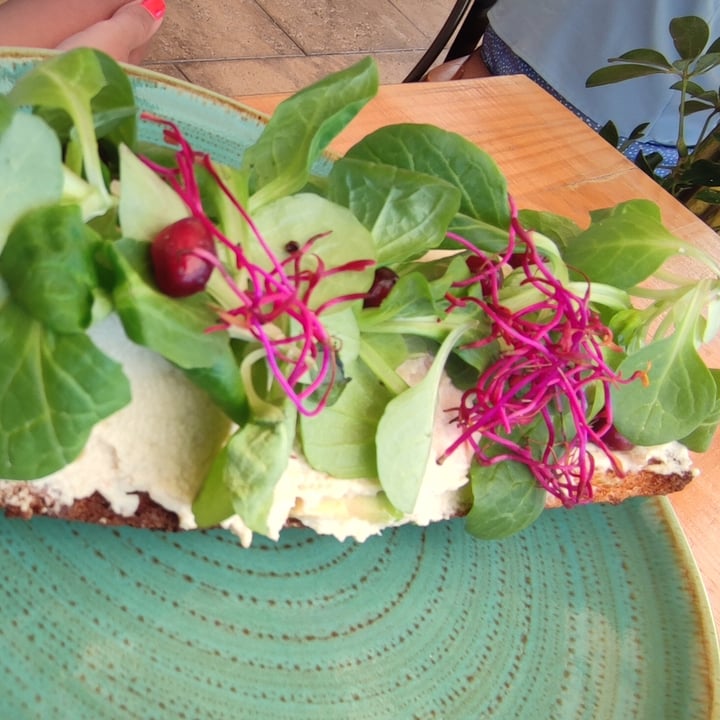 review photo of natural point bistro cafe Hummus Toast shared by @lalespa on 26 Jun 2022 - review