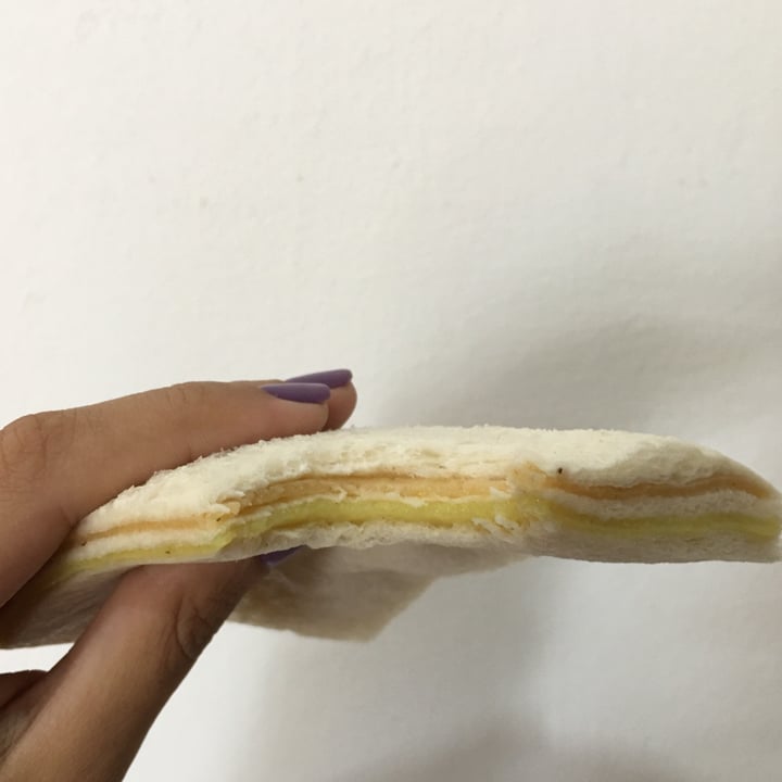 photo of Pro Mix Sandwich de Miga Vegano Jamón y Queso shared by @taniaf6 on  18 Mar 2021 - review