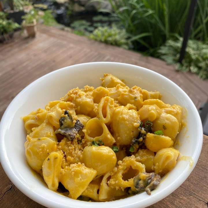 review photo of nooch. a vegan eatery Reuben Sandwich shared by @maranda on 29 Oct 2020 - review