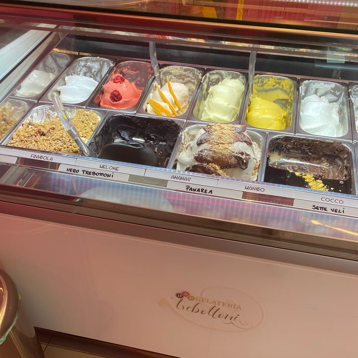 photo of Gelateria Trebottoni gelato cioccolato fondente, melone e mango vegan shared by @ela91 on  14 May 2022 - review