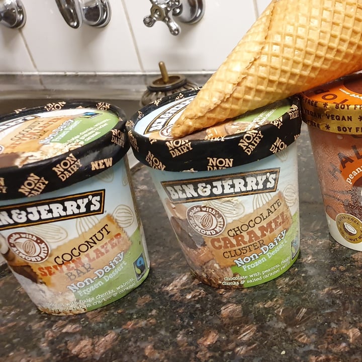 photo of Ben & Jerry's Coconut Seven Layer Bar Non-Dairy Frozen Dessert shared by @kaceymad on  22 May 2020 - review