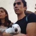 santiagoromo @santiagoromo profile image