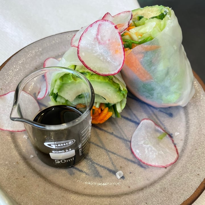 review photo of Hemelhuijs Vegetarian summer rolls shared by @tanieskitchen on 17 Jun 2021 - review