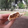Empanadas De 10