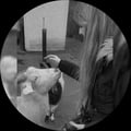 veganlmk @veganlmk profile image
