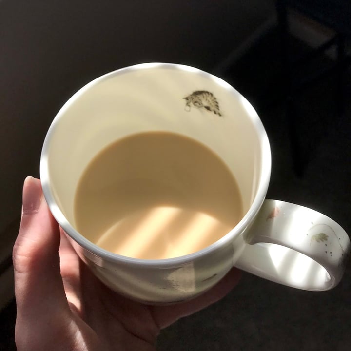 photo of Richs Coffee Rich Non-Dairy Creamer shared by @oddish on  13 Aug 2021 - review