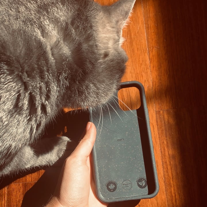 photo of Pela Case iPhone case shared by @isabelbii on  29 Aug 2021 - review