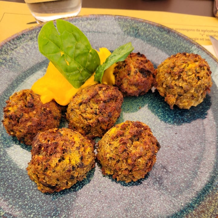 photo of Zenzero polpette di tofu, seitan e verdure con salsa shared by @sarafrighi on  20 May 2022 - review