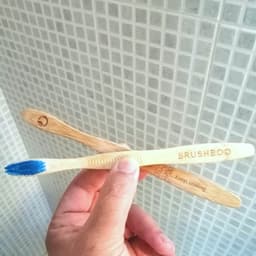 Brushboo