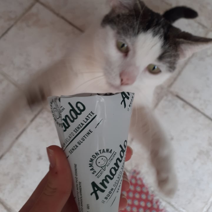 photo of Milbona sammontana cono amando shared by @griris on  02 May 2022 - review