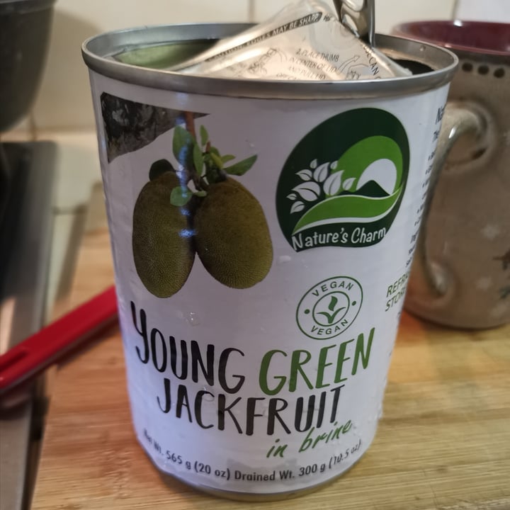 photo of Nature's Charm Young Green Jackfruit in Brine shared by @dahlenehanslo1709 on  14 Nov 2020 - review